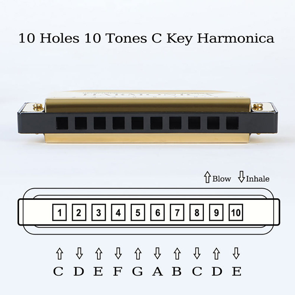 10 Delikli C Harmonika Blues H - Harmonica 10 Hole incelemesi ve fiyatı