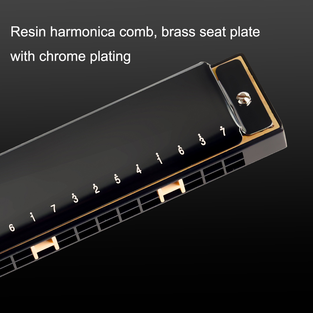 Guoguang Tremolo Mızıka 24 Del - Harmonica 10 Hole incelemesi ve fiyatı