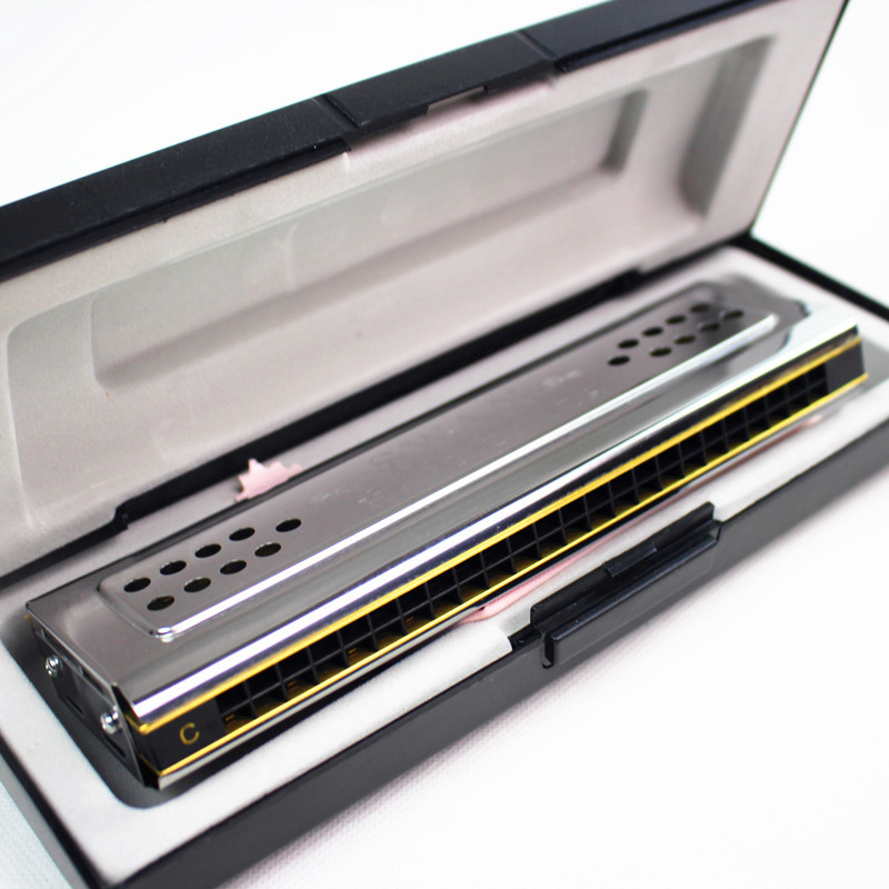 Her iki tarafın kuğu armonika  - Harmonica 10 Hole incelemesi ve fiyatı
