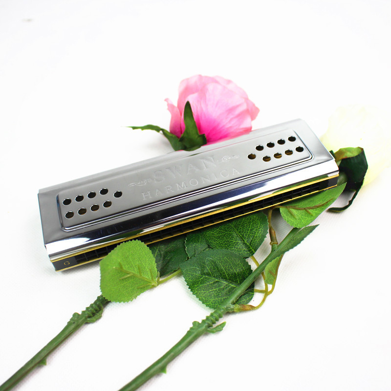Her iki tarafın kuğu armonika  - Harmonica 10 Hole incelemesi ve fiyatı